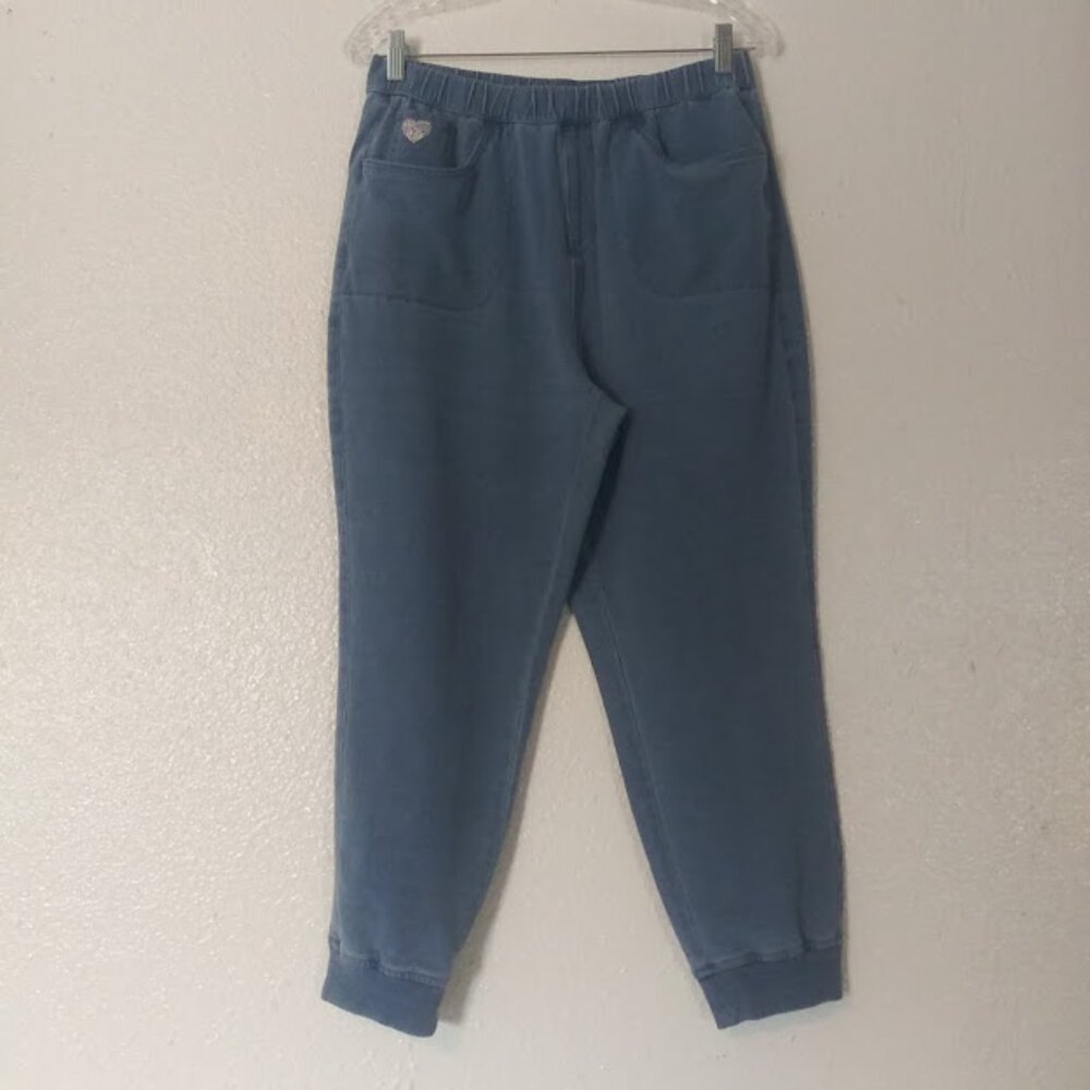 Quacker Factory, Dream Jeannes women's size M light blue pull on pants